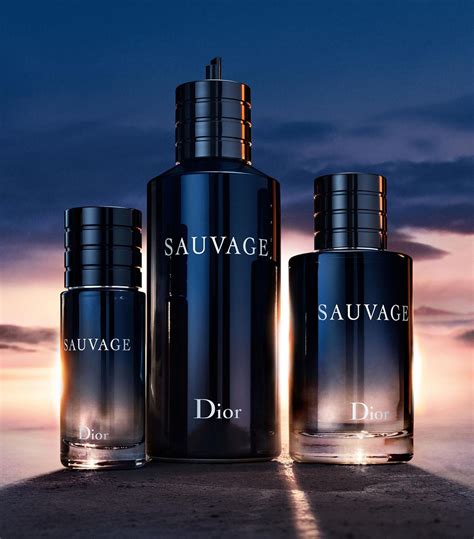 dior sauvage preço|fragrances like dior sauvage.